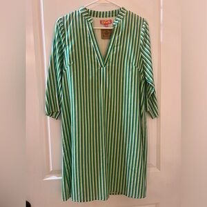 THML Green & White Striped V-Neck Long Sleeve Dress